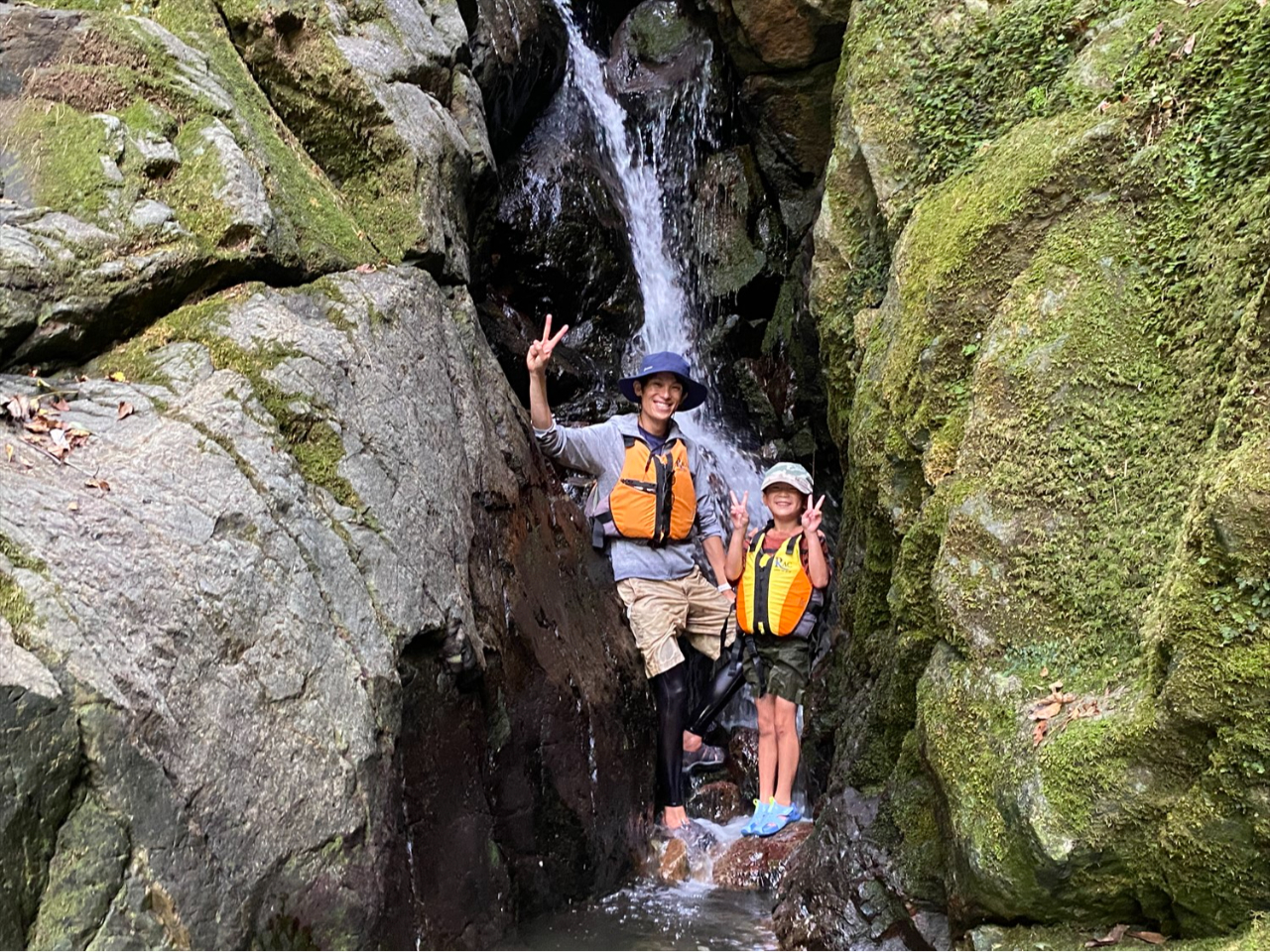 �̌����i�i��̖`���j