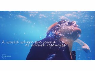 素晴らしいスキンダイビングポイントを紹介。ビーチエントリーで驚きの世界へ!