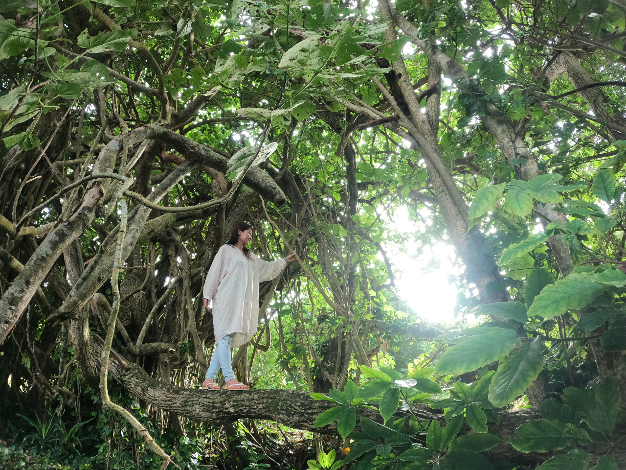 奄美大島の自然に癒される:直観リトリートの魅力