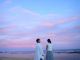 夕暮れの海辺でゆっくり。1組貸切で、その日の自然とペースに合わせて過ごします