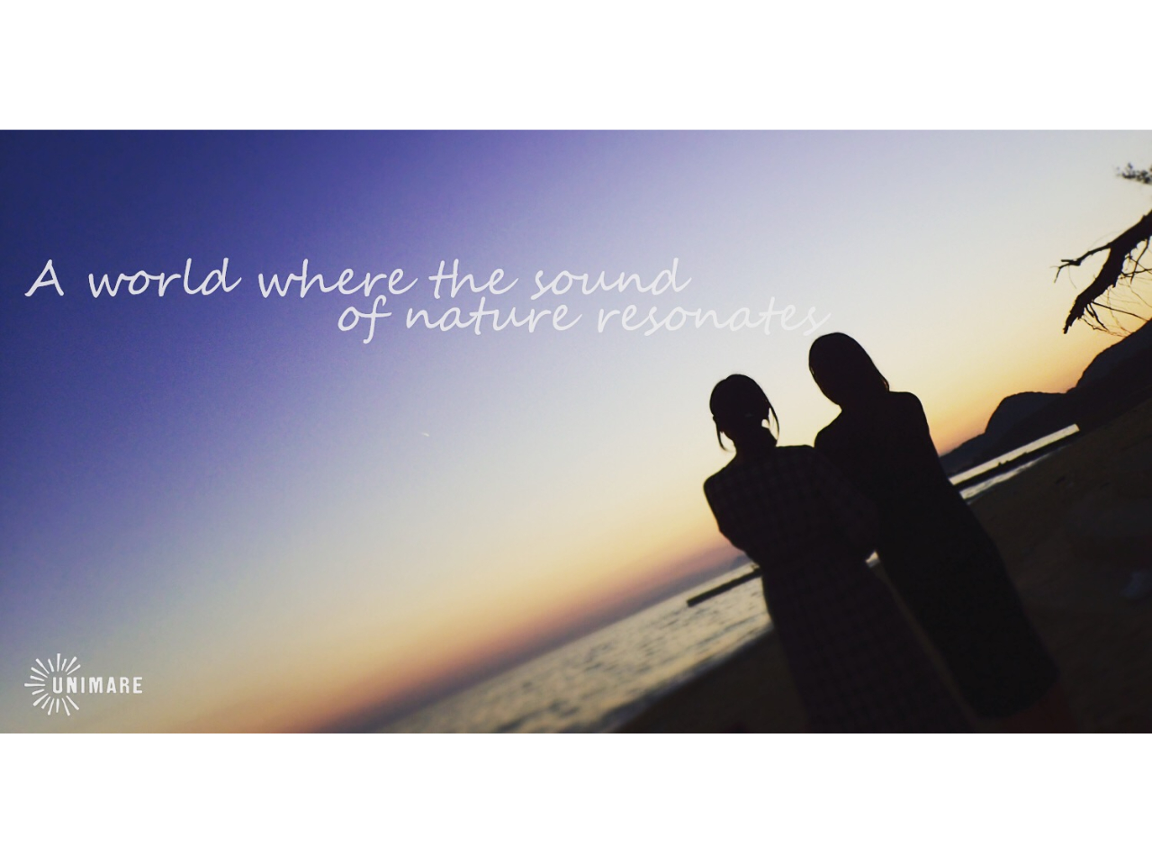 奄美大島の壮大な夕日とブルーモーメントタイム そして星空までの素敵なひとときのツアー