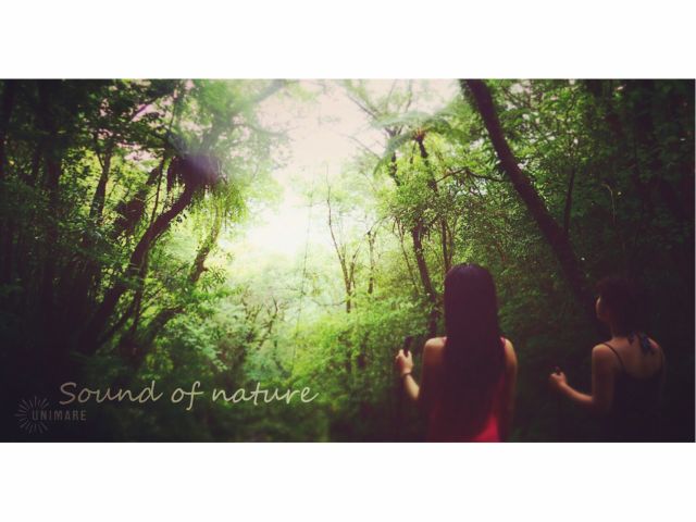 原生林という神秘の場所へ