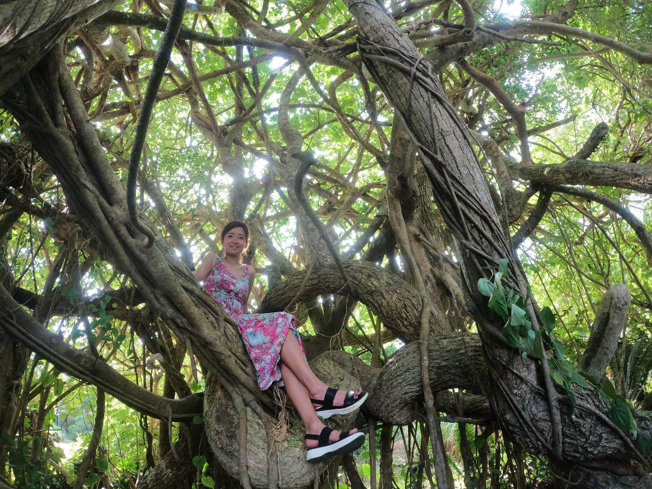 r[`AMAPɍڂĂȂ閧̃X|bg