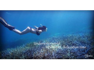 奄美の青い海を1日じっくり楽しむスキンダイビング