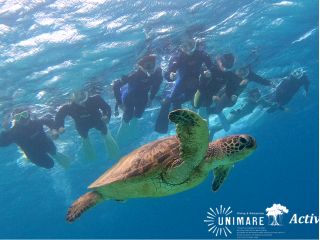 奄美の海でウミガメとの出会いを目指すシュノーケリング