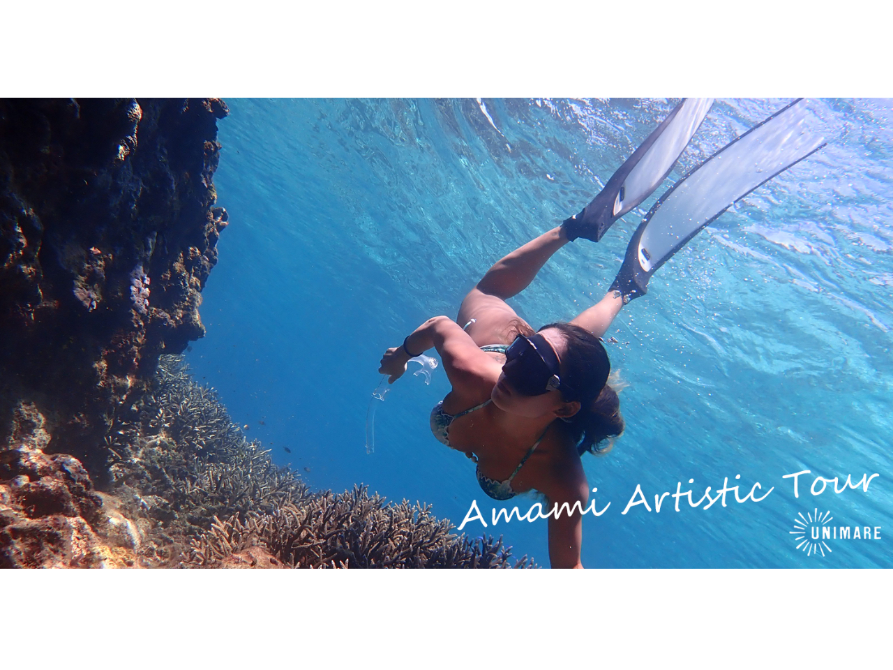 �ċz�E�������E��������m�F���Ȃ��疳���Ȃ��C��