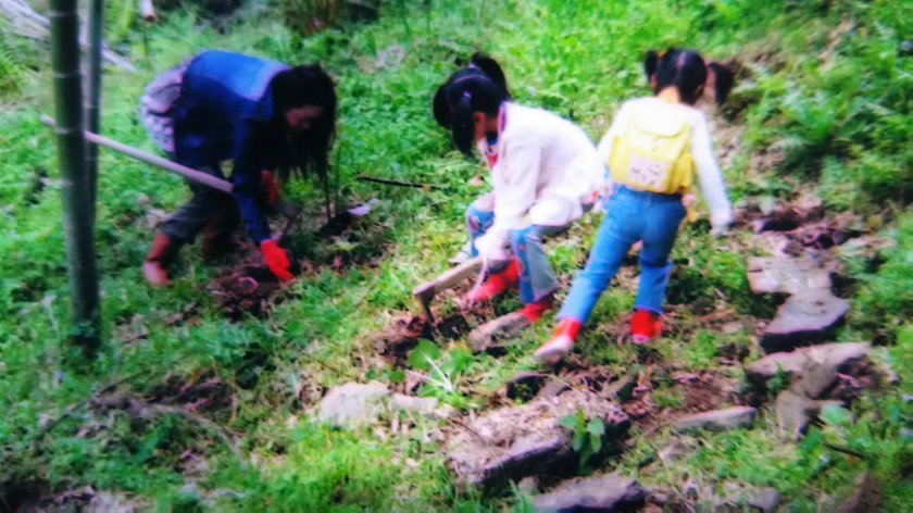 ���������q�l���撣���Ă����̂��x���