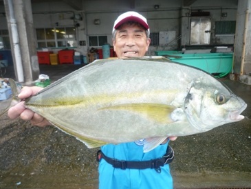勝浦 海釣りを体験 ヒラマサ マダイなどが釣れます 作栄丸 じゃらん遊び体験