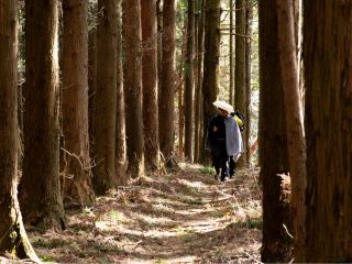 江戸の旅人気分で歩く中山道碓氷峠