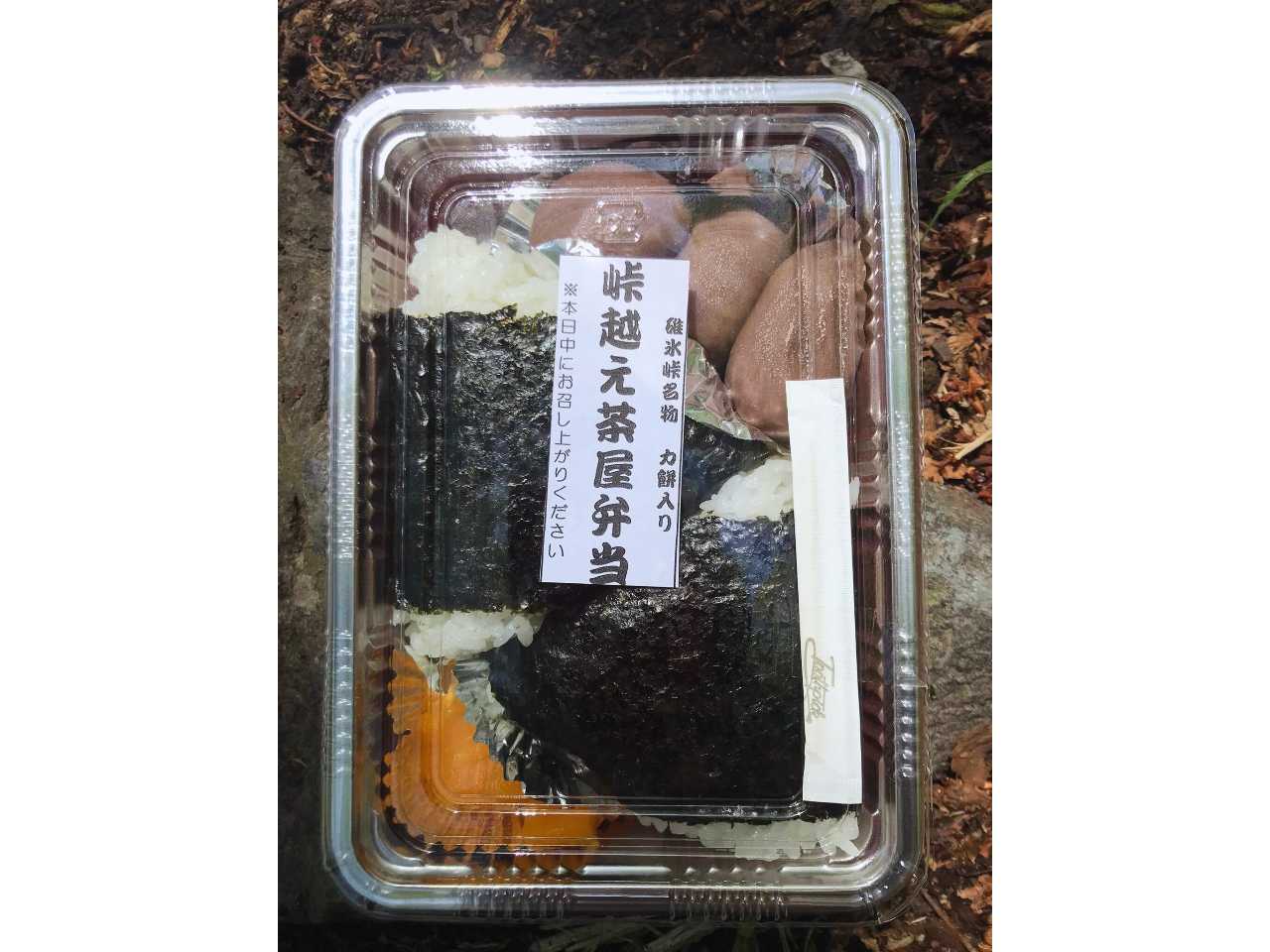 ���j�ՙ��Β������瑱���V�܁u�ʉ��v�̗͖ݓ��蒃���ٓ��Œ��H