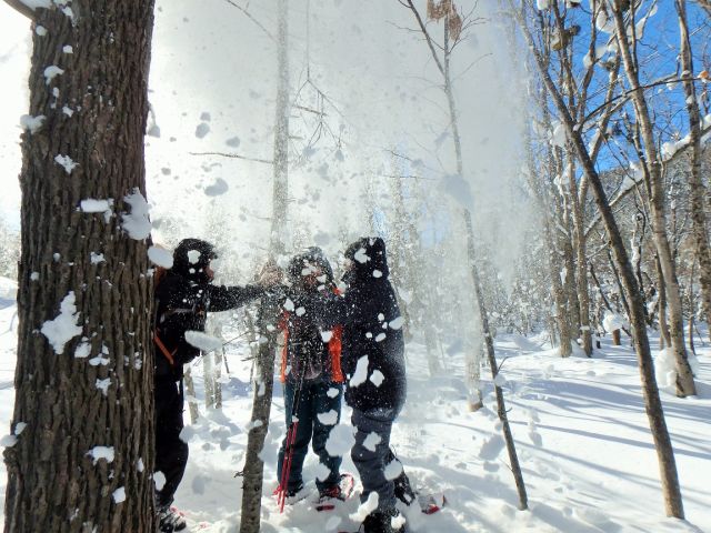 さらさらのパウダースノーを楽しむのはスキーやスノーボードだけではありません。雪の森の散策でもこんなにアクティブに!