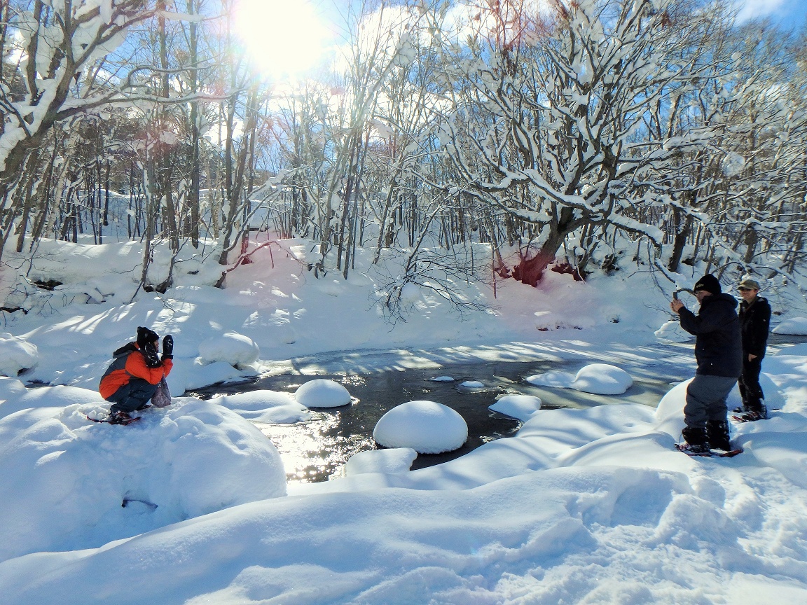 ɕԁA܂܂ȁuXm[}bV[vɏāALOʐ^ςB