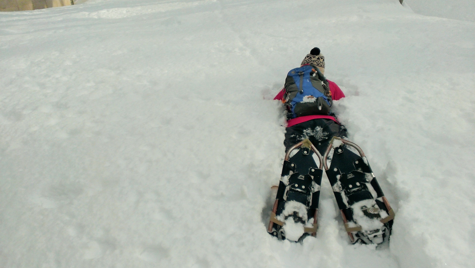 みんな憧れの、雪原にダーイブ!!