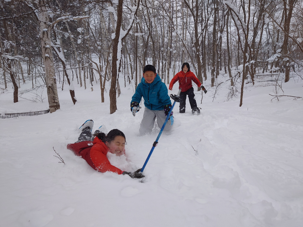 JāAՂȂ炱ȂƂ`W܂񂩁Hr[`tbOȂʁAXm[tbOŐʂɃ_CrOI