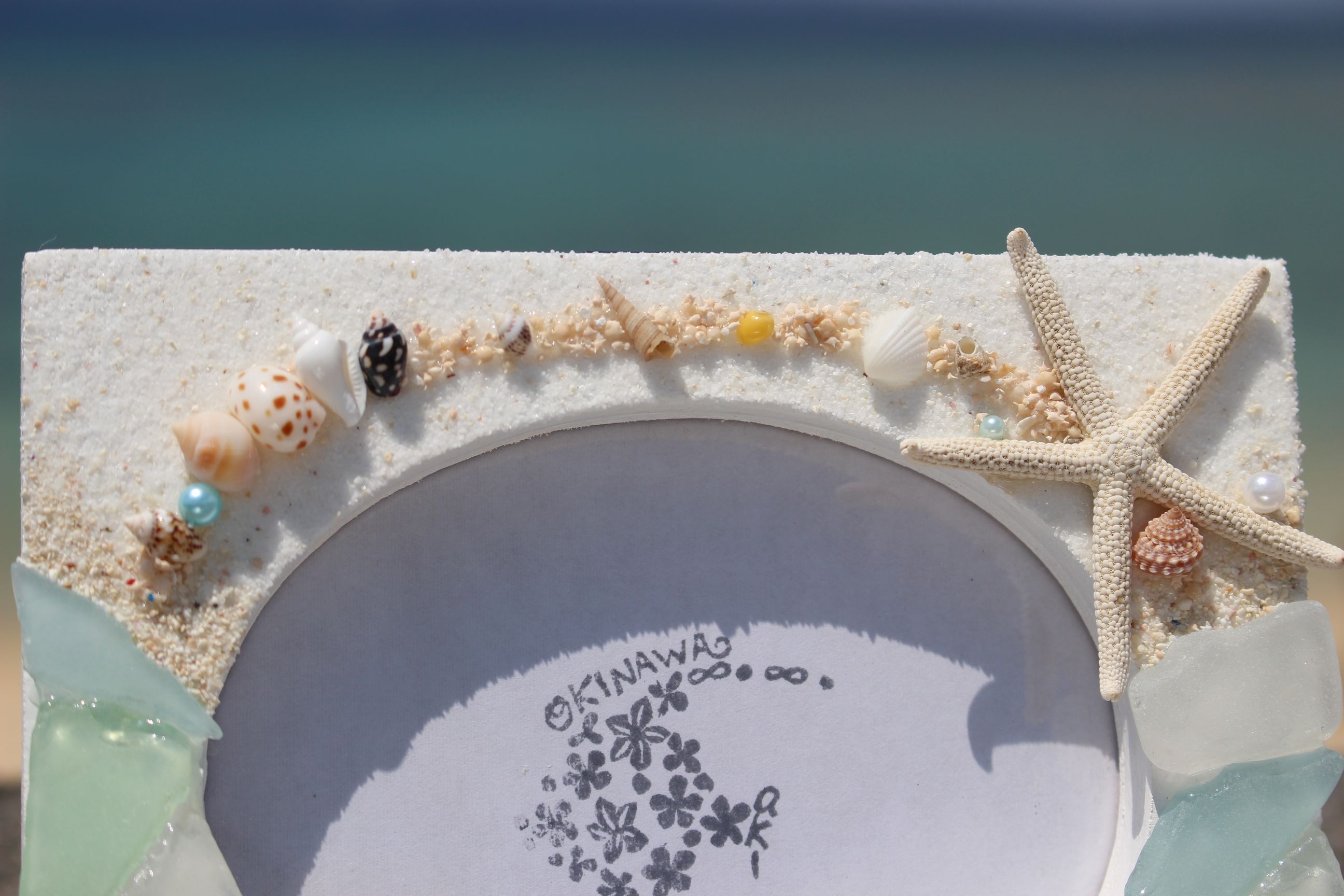 �u�₩�ł��킢���V�[�O���X�t�H�g�t���[��������Ł�