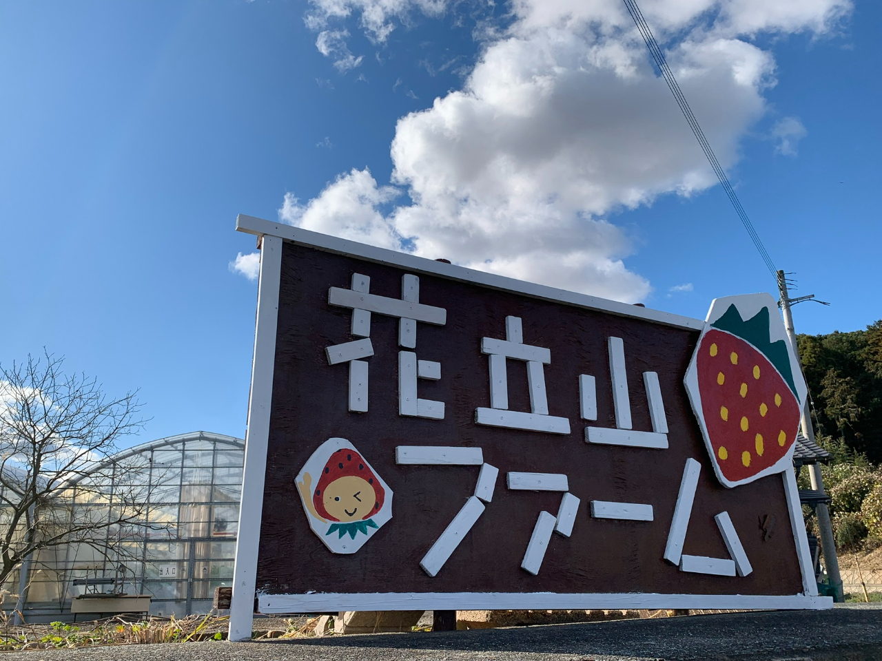 【60分いちご狩り食べ放題】「いちご一会」のおいしい出会い！主に3品種+etcの...