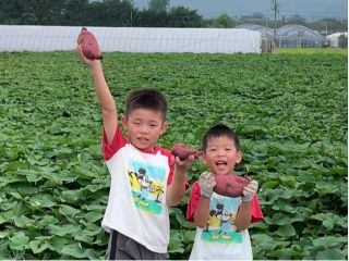 お子様も楽しめるさつまいも体験♪