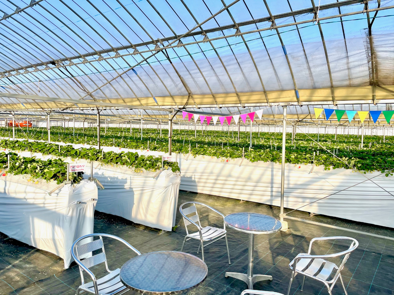 nEX͍̒LXA֎qɍċxeł܂B