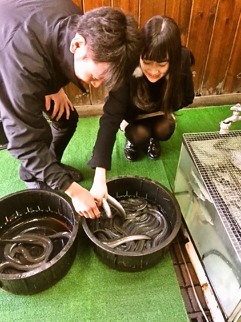 生きたウナギの姿に大人もこどもも大興奮♪