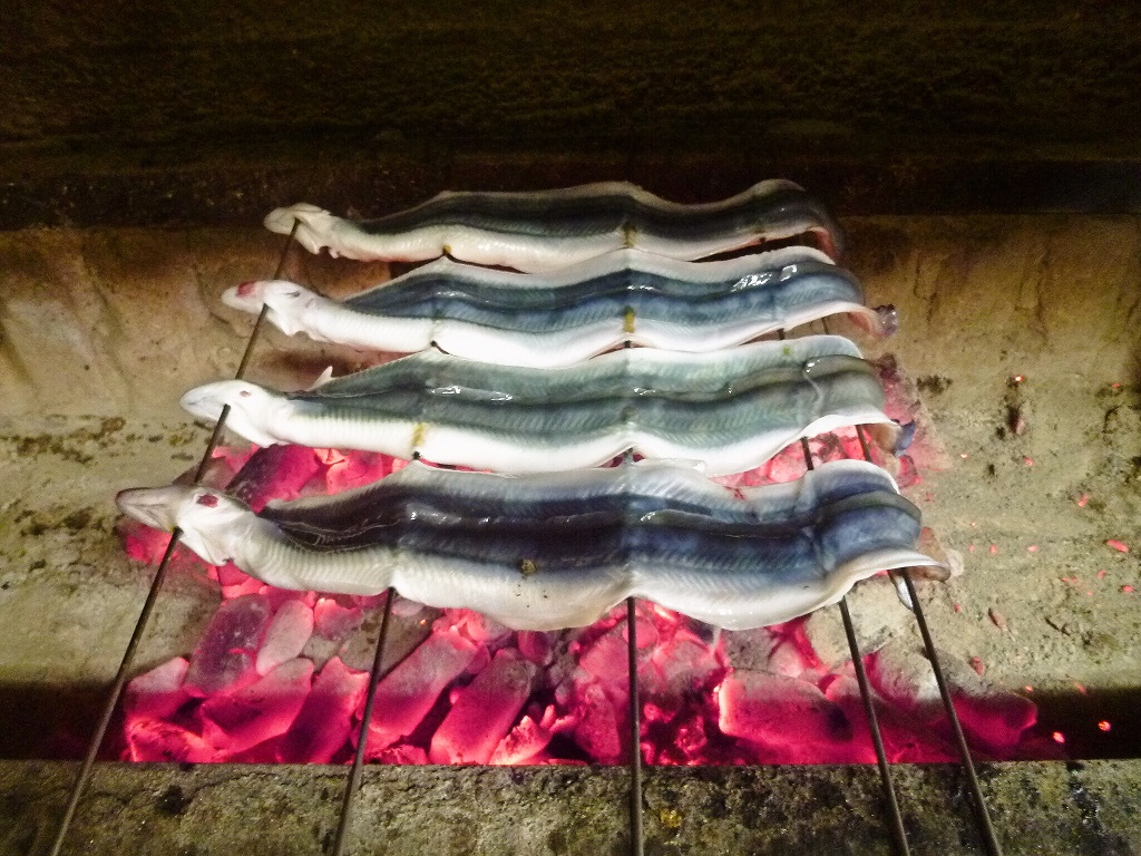 自分で釣ったウナギを丸ごとうな重にして食べてみよう♪