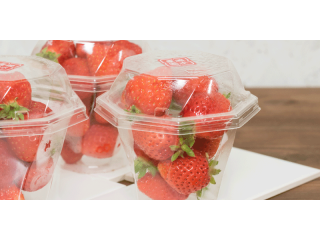 コロナ対策中 1 3月 糸島 いちご狩り あまおう 45分食べ放題プラン 福岡市内より車で40分 糸島 磯本農園 じゃらん遊び体験 コロナ対策中 1 3月 糸島 いちご狩り あまおう 45分食べ放題プラン 福岡市内より車で40分 糸島 磯本農園 じゃらん遊び体験