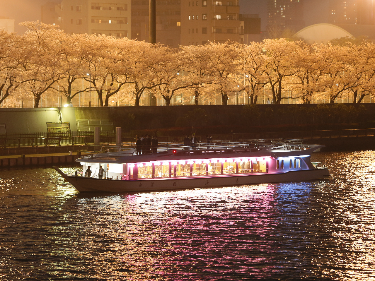 ���C�g�A�b�v���ꂽ��������ʂɗh��A���z�I�ȏt�̌i�F�����o�B�D�ォ�璭�߂���ʂȂЂƂƂ������y���݂��������B