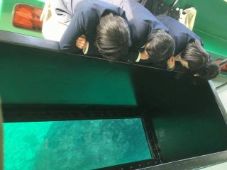 但馬海岸グラスボート遊覧船 但馬海岸グラスボート遊覧船 じゃらん遊び体験