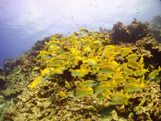 周り一面こんな感じ