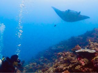 フツーにいます。