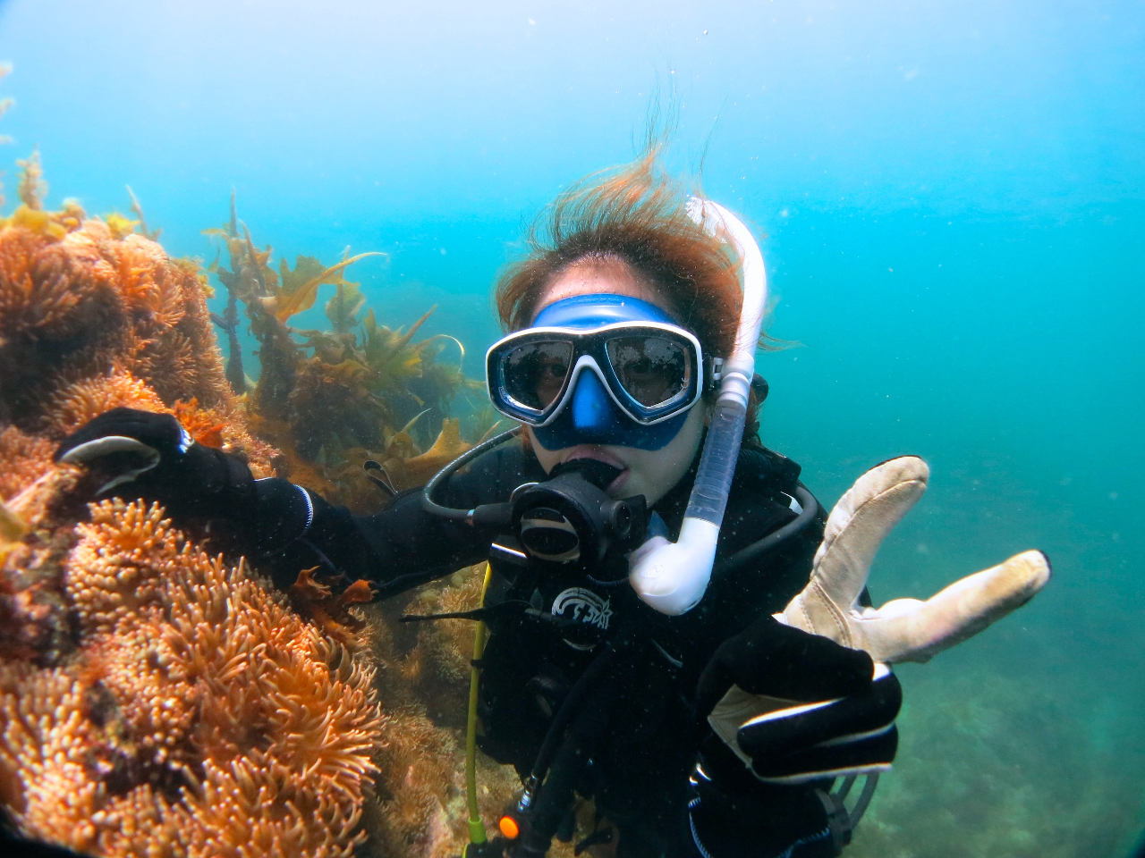 水中世界へようこそ!