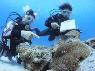 水中世界!夢を叶えませんか?