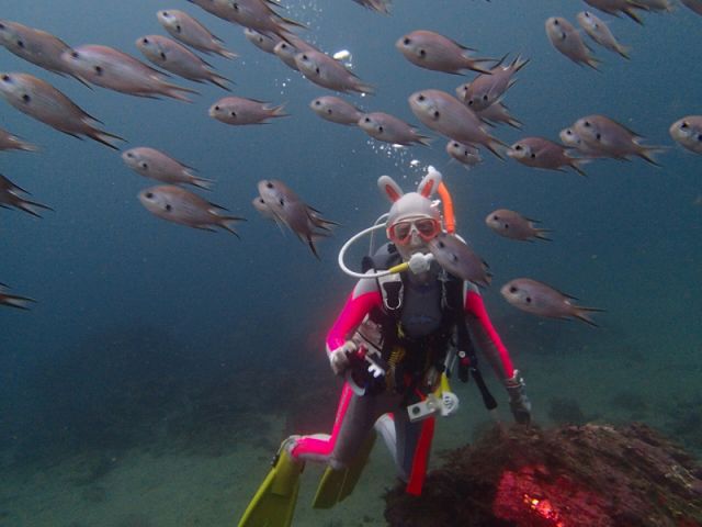 講習で良く行く海 真鶴の海!