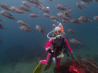 真鶴の海!群れに囲まれて!