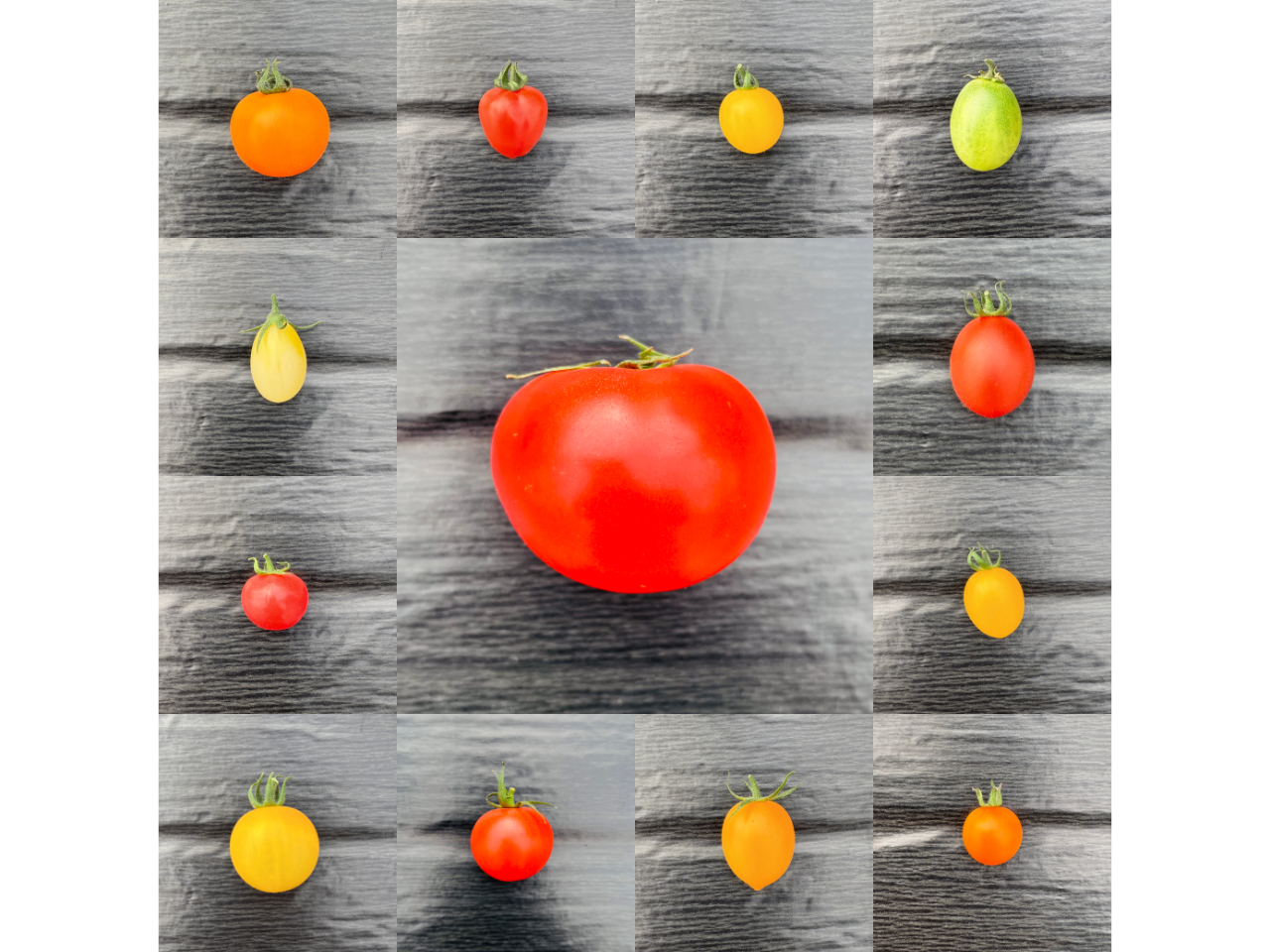 �ő�P�R��̑�ʁA�~�f�B�A�~�j�g�}�g�����n�I ������"�����g�}"�����悤��