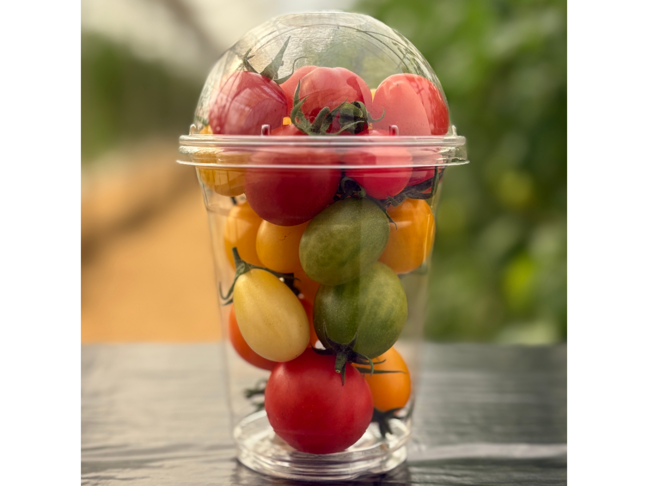 �J�b�v�����ς��ɐF�Ƃ�ǂ�̘a�Y�g�}�g�������� ���w���ȉ��̎Q���҂͏������T�C�Y�̂��q�l�J�b�v�ŁB