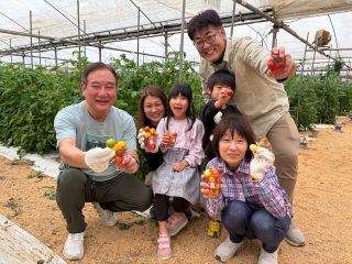 トマトカップいっばいの彩り