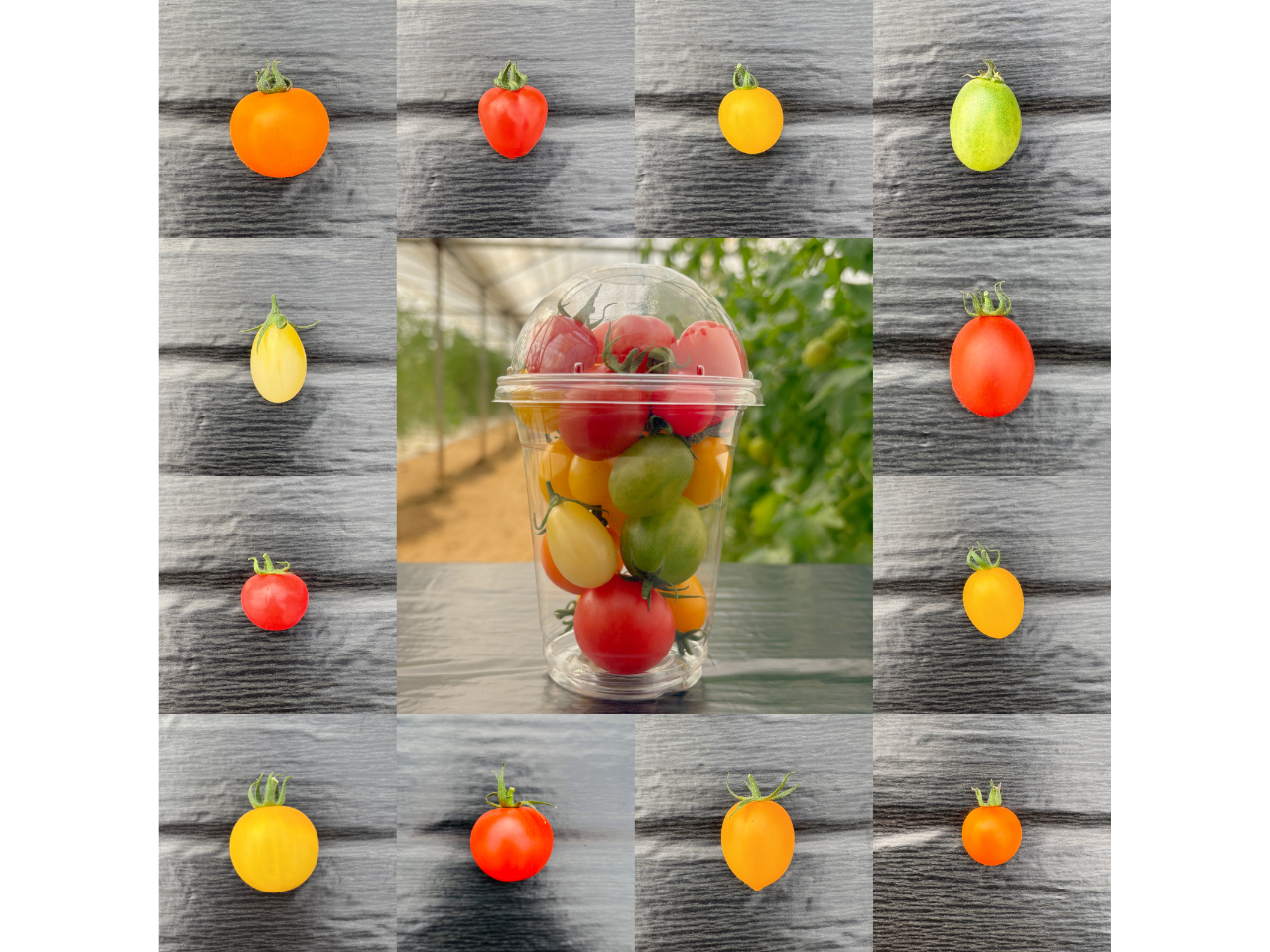 �P�P��̃~�f�B�A�~�j�g�}�g�����n�I ������"�����g�}"�����悤��