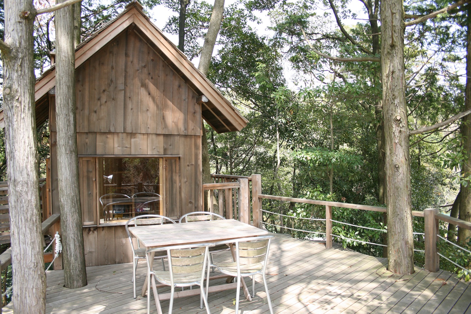 ~ñc[nEX􎩗RɏオĂ܂