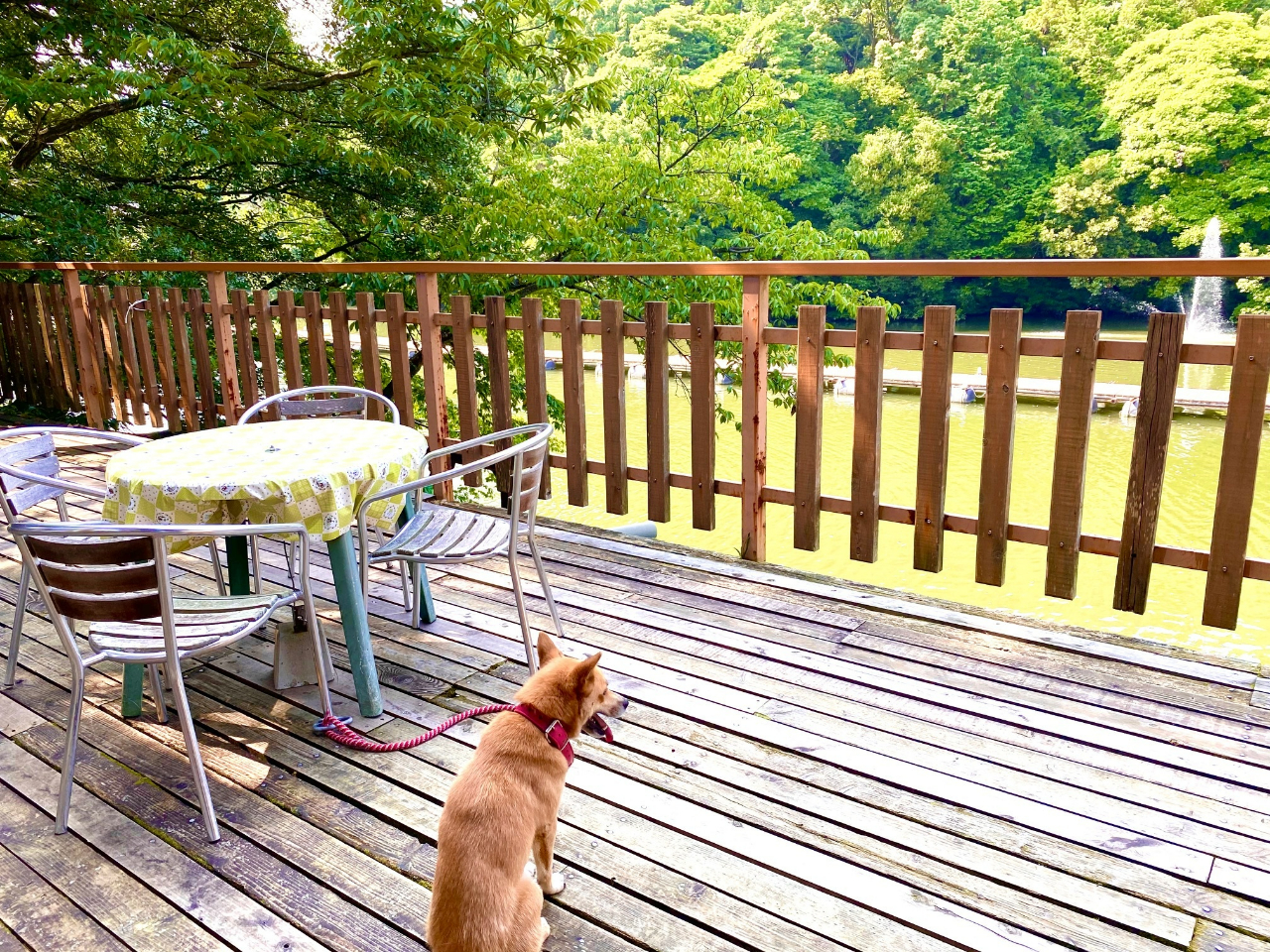 VĈ́AeXȂł́AAłp܂