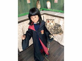 表参道 フクロウとのふれあい体験60分 癒しのマジック にかかりませんか フクロウカフェ ふくろうマジック 表参道 じゃらん遊び体験