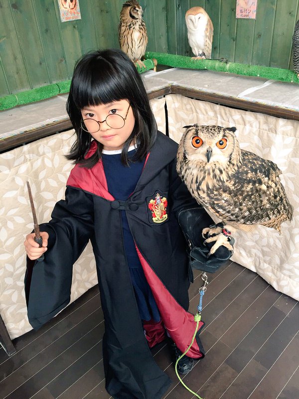 表参道＊フクロウとのふれあい体験30分！｜“癒しのマジック”にかかり