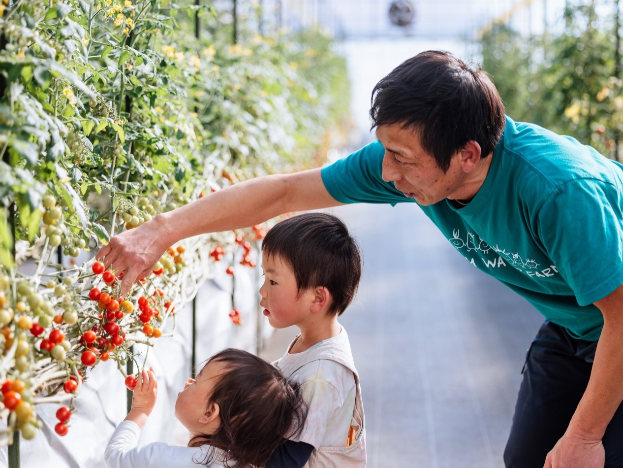 真剣にお話を聞いて、色付いたミニトマトを見つけるぞ!
