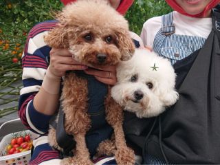 ペットも一緒にハウス内へ 記念撮影も可能です 歩かせての移動はNG