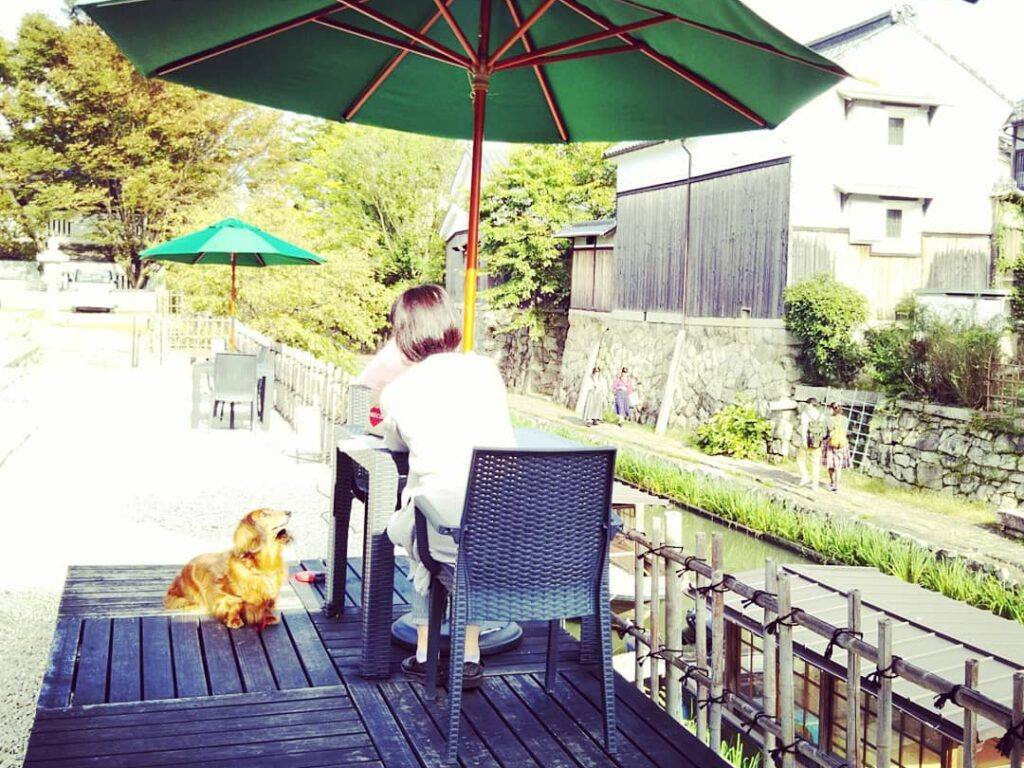 yƃ`zJtFւ肢Ƃ͂ł܂񂪁Aق肩ӂ̓eXȂɂĈƂ߂Ƃł܂