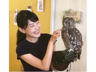 頭なでなで、手に乗せて記念撮影などたくさんのふくろうとの触れ合いを楽しめます。