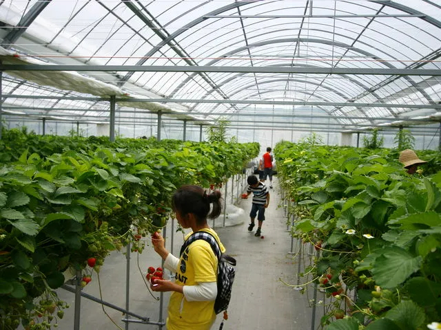 ʘH͍LnEXYłoAt[ȍĂ܂̂ŁAxr[J[AԂłł܂I