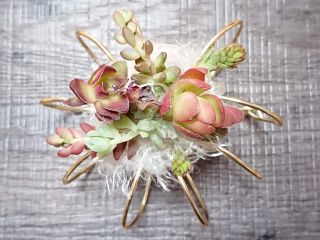 土台から作ります。特殊な糸を使い、土を使わないので室内でも作業ができます。