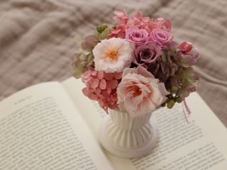 写真は一例です