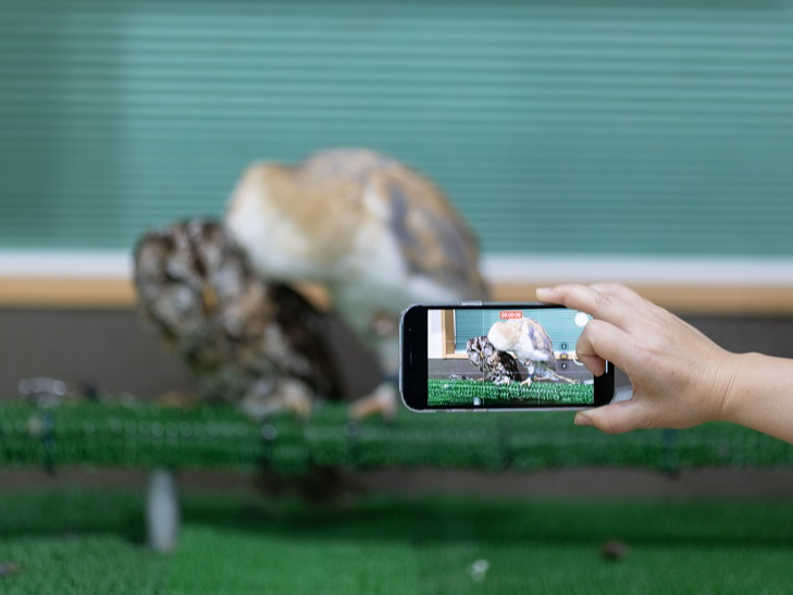 写真を撮る事に集中したり