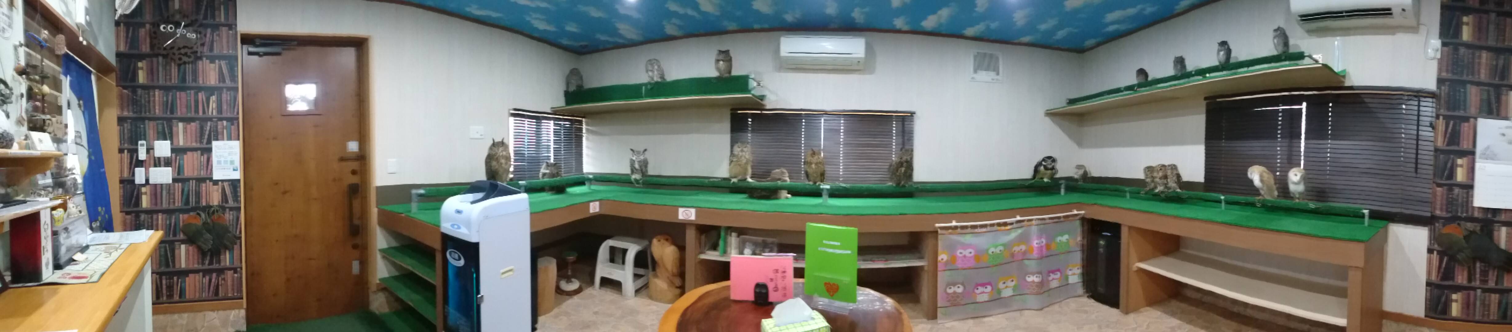 店内風景はこのような感じです